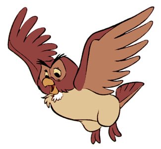 owl.jpg