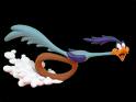 roadrunner.jpg