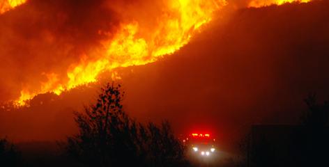 wildfire-topperx-topper-medium.jpg