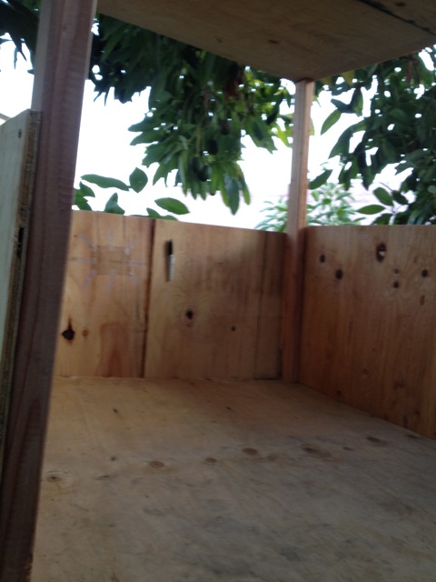 treehouse2.jpg
