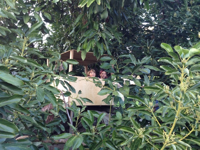 treehouse3.jpg